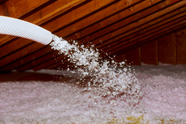 Insulation Repair Services in Green Cove Springs, FL